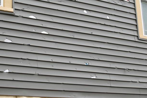  Auburn, WA Siding Installation & Repair Pros